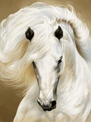 Купить Набор алмазной мозаики. Белая лошадь (30х40см, квадратные камешки, полная выкладка полотна) выкладка алмазами по номерам  в Украине