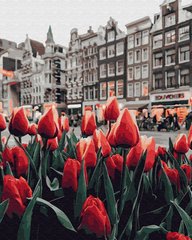 Купить Картина по номерам без коробки. Тюльпаны Амстердама  в Украине