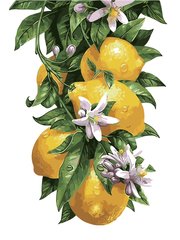 Купити Картина за номерами без коробки. Лимонне дерево  в Україні