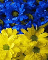 Купити Картина за номерами без коробки Жовто-блакитні квіти  в Україні