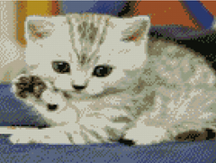 Купити Алмазна мозаїка по номерам круглими камінчиками (на підрамнику). Маленьке кошеня  в Україні