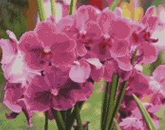 Купить Алмазная мозаика по номерам круглыми камешками. Яркие орхидеи (на подрамнике)  в Украине