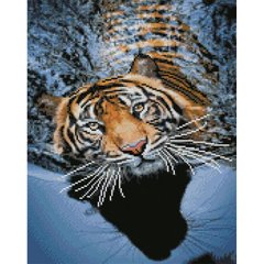 Купити Алмазна мозаїка на підрамника круглими камінчиками. Тигр на відпочинку 40 x 50 см  в Україні