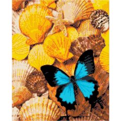 Купить Алмазная мозаика на подрамнике. Бабочка на ракушках (круглые камушки, 40 х 50 см)  в Украине