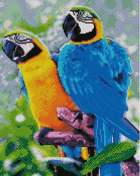 Купить Алмазная мозаика по номерам круглыми камешками. Яркие попугаи (на подрамнике)  в Украине