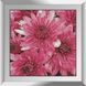 Алмазна мозаїка. Рожеві хризантеми 50x50 см, Без підрамника, 50 x 50 см