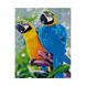 Алмазная мозаика по номерам круглыми камешками. Яркие попугаи (на подрамнике), С подрамником, 40 x 50 см