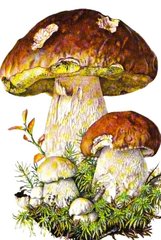 Купити Картина з мозаїки. Білі гриби  в Україні