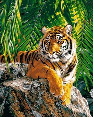 Купить Картина по номерам. Суматранская тигрица  в Украине