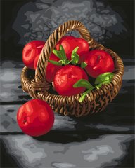 Купити Картина розмальовка по номерах. Яскраві вітаміни  в Україні