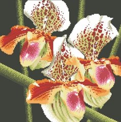 Купить Набор алмазной мозаики Хищная орхидея  в Украине