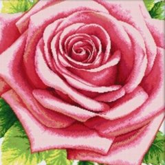 Купити Набір діамантової мозаїки Рожева троянда  в Україні