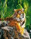 Картина за номерам. Суматранська тигриця, Подарункова коробка, 40 х 50 см