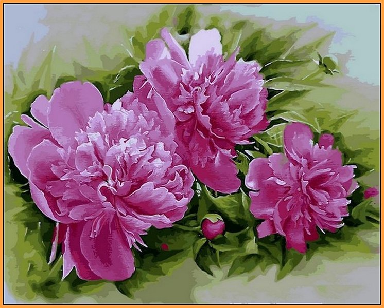 Купить Картина по номерам Premium-качества. Розовые пионы (в раме)  в Украине