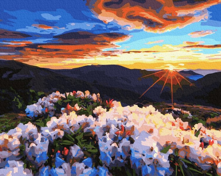 Купить Картина по номерам без коробки. Восход в горах  в Украине