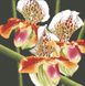 Набір діамантової мозаїки Хижа орхідея, Без підрамника, 41 х 41 см