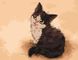 Картина за номерами Мультяшний котик, Без коробки, 40 х 50 см