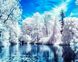 Картина з страз. Зимове озеро, Без підрамника, 50 х 40 см