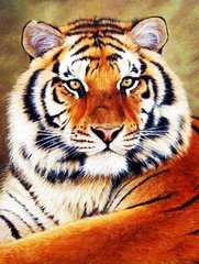Купить Картина из мозаики. Величественный тигр  в Украине