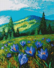 Купити Алмазна мозаїка на підрамнику. Квіти в горах  в Україні