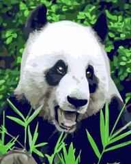 Купити Картина за номерами Голодна панда  в Україні