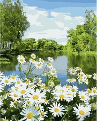 Купить Картина по номерам Ромашки на берегу реки  в Украине