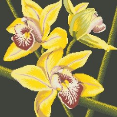 Купить Набор алмазной мозаики Желтая орхидея  в Украине