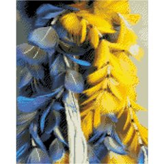 Купить Алмазная мозаика на подрамнике. Желто-синие перья (круглые камушки, 40 х 50 см)  в Украине