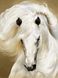 Набор алмазной мозаики. Белая лошадь (30х40см, квадратные камешки, полная выкладка полотна) выкладка алмазами по номерам