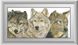 Набір алмазної вишивки Три вовки, Без підрамника, 33 х 68 см