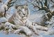 Алмазна мозаїка Тигр в снігу, Без підрамника, 39 х 59 см
