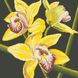 Набір діамантової мозаїки Жовта орхідея, Без підрамника, 41 х 41 см