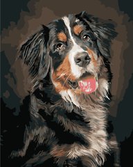 Купити Картина за номерами. Портрет собаки  в Україні