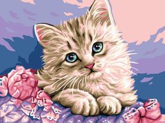 Купити Картина за номерами. Милий котик  в Україні