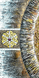 Алмазная мозаика. Триптих Мандала – Дерево Любви в круге Жизни, Без подрамника, 60 x 60 см, 2 части 25 x 50 см