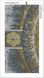 Алмазная мозаика. Триптих Мандала – Дерево Любви в круге Жизни, Без подрамника, 60 x 60 см, 2 части 25 x 50 см