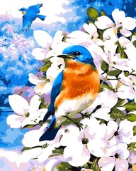 Купити Картина за номерами. Пташка на яблуневої гілці  в Україні