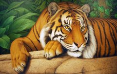 Купить Вышивка камнями по номерам Мудрый тигр  в Украине