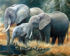 Купити Вишивка камінням за номерами Сім'я слонів  в Україні