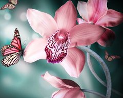 Купити Набір алмазної вишивки. Прекрасна орхідея  в Україні