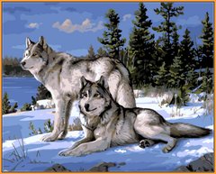Купить Картина по номерам Premium-качества. Волки на снегу (в раме)  в Украине