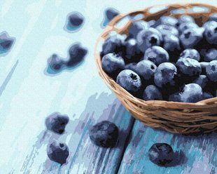 Купити Картина за номерами без коробки. Лохина  в Україні