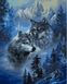 Картина по номерам. Зимние волки, Подарочная коробка, 40 х 50 см