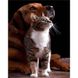 Алмазна картина на підрамнику, набір для творчості. Дружба кішки з собакою розміром 30х40 см (квадратні камінчики), З підрамником, 30 х 40 см