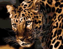 Купить Картина по номерам. Настороженный леопард  в Украине