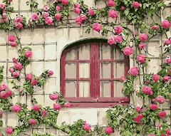Купить Картина по номерам без коробки. Розовые цветы  в Украине