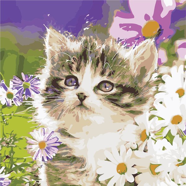 Купити Картина за номерами. Кот в ромашках  в Україні