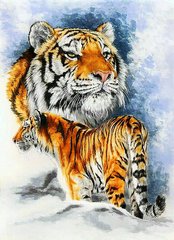 Купити Алмазна мозаїка. Сім'я тигрів  в Україні