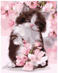 Купить Картина по номерам без коробки. Котик в цветах яблони  в Украине