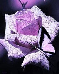 Купити Набір алмазної вишивки. Прекрасна троянда  в Україні